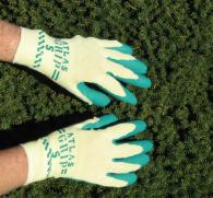 summer glove