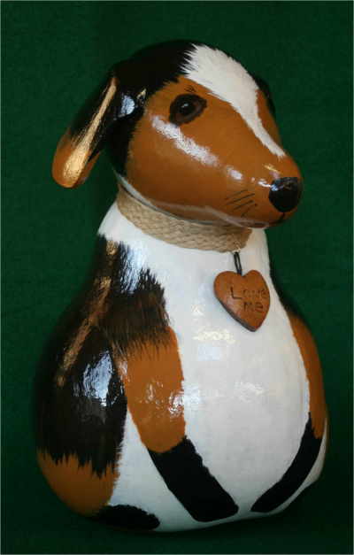 gourd beagle
