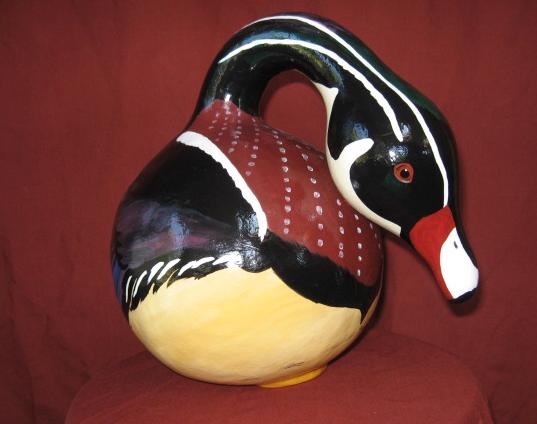 Gourd Wood Duck