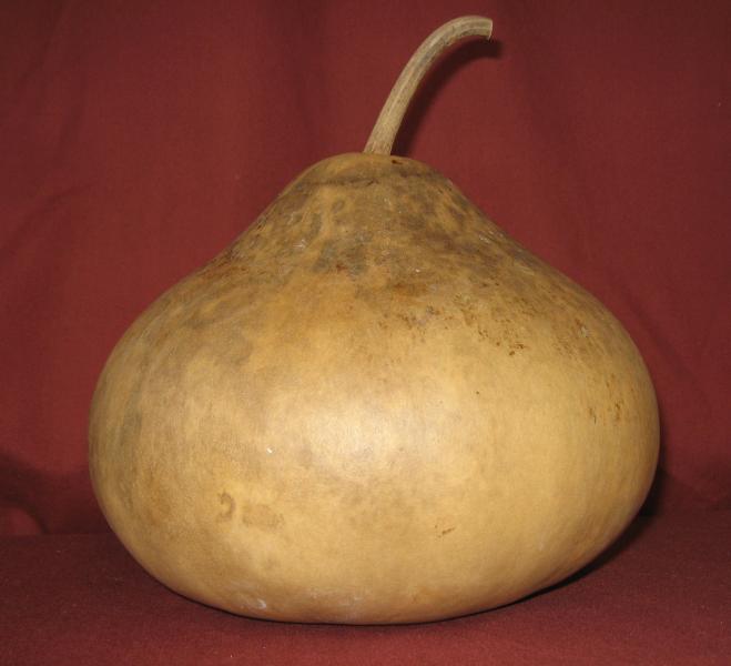 gourd bank