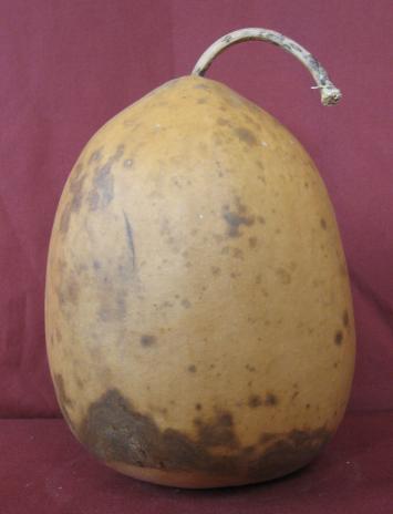 gourd bank