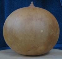 gourd bank
