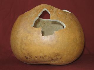 gourd bowl