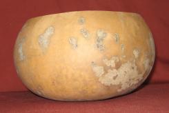 gourd bowl
