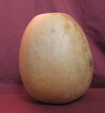 gourd bowl