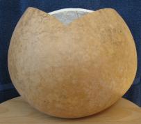 gourd bowl