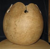 gourd bowl