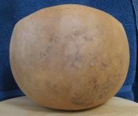 gourd bowl