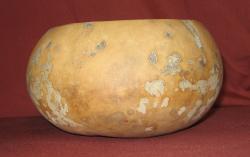 gourd bowl