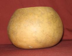 gourd bowl