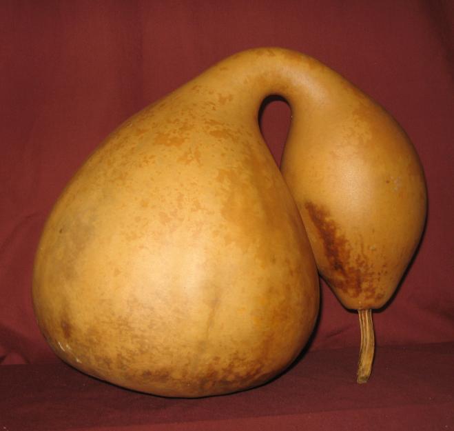 Goose gourd
