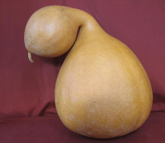 Goose gourd