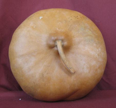 gourd mask