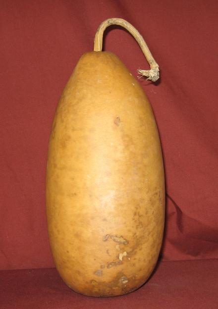 bottle gourd