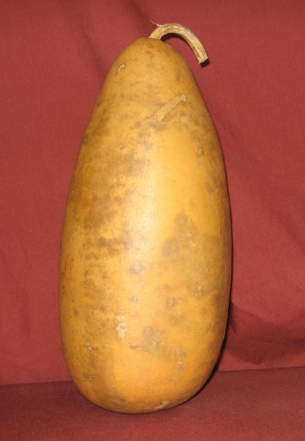 bottle gourd