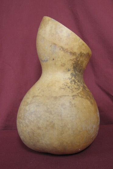 gourd