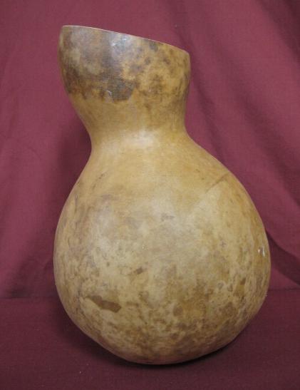 gourd