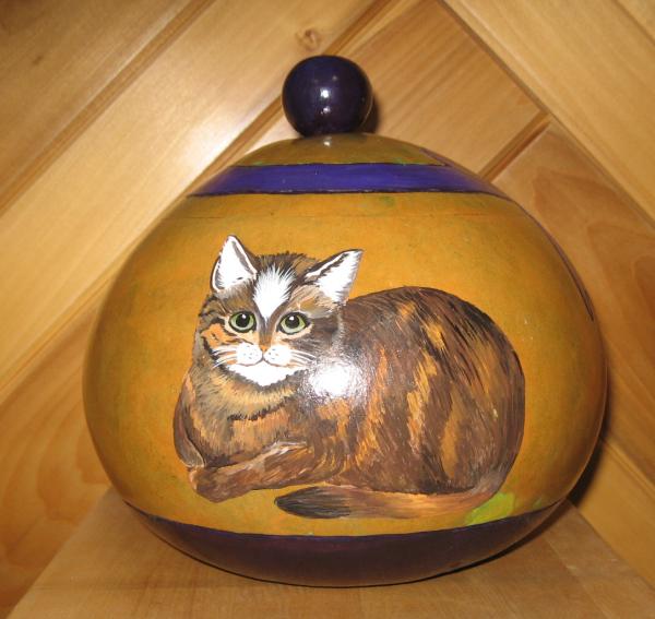 gourd bowl cat