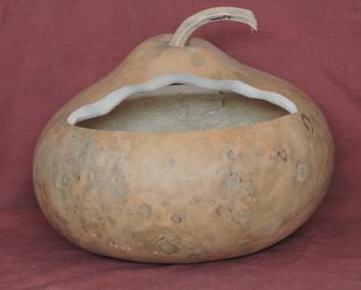 basket gourd