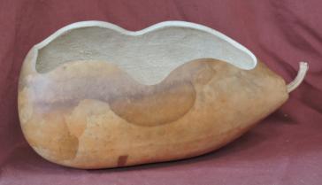 basket gourd