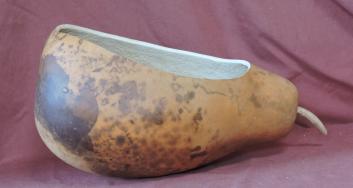 basket gourd