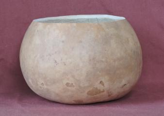 gourd bowl
