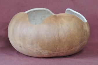 gourd bowl
