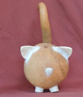 cat gourd