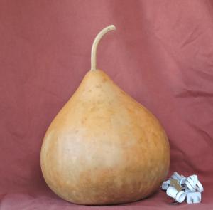 gourd lamp