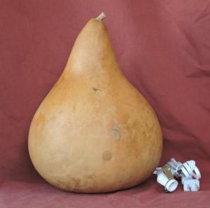 gourd lamp