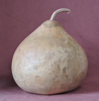 gourd bowl
