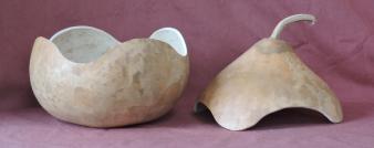 gourd bowl