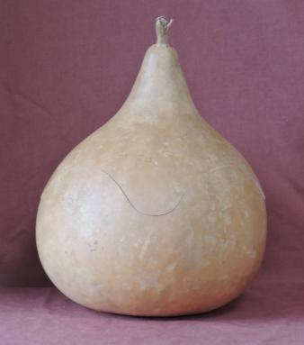 gourd bowl