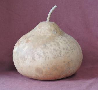 gourd bowl