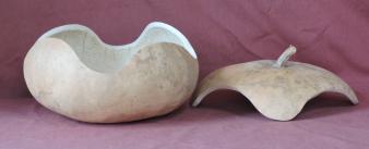 gourd bowl