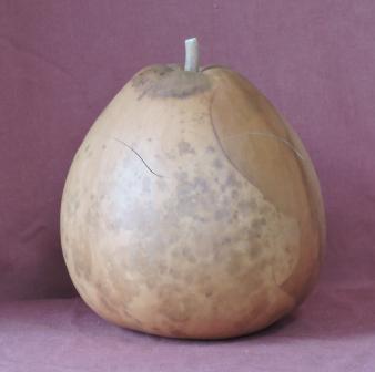 gourd bowl