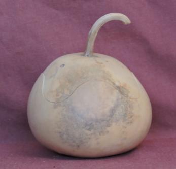 gourd bowl