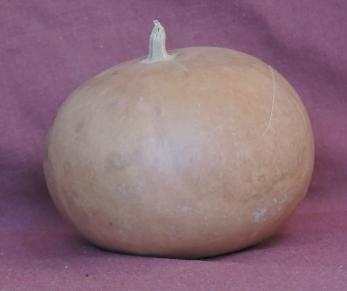 gourd bowl