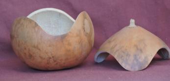 gourd bowl