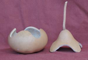 gourd bowl
