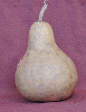 gourd bowl