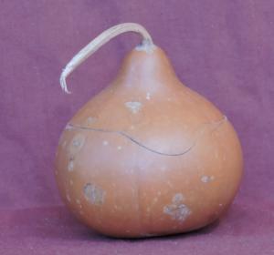 gourd bowl